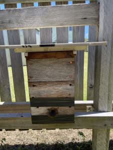 Native Bee Hive with bees