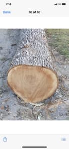 Timber, silky Oak 600 mm x 5 metres , smaller logs as well .