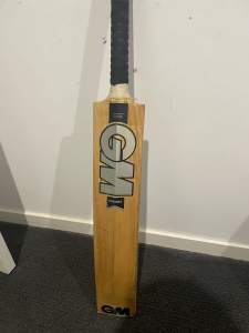 Gunn and Moore chroma short handle cricket bat