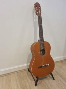 Guitar (Hofner HZ23)
