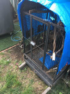 Medium bird cage good condition