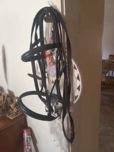 Bridle with eggbutt snaffle 6 inch or seperate