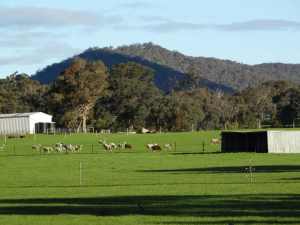 17.44 HECTACRES / 43.07 ACRES PICTURESQUE RURAL LAND IN TALLAROOK