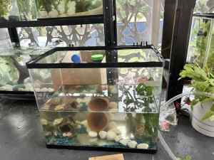 FISH TANKS FOR SALE :))