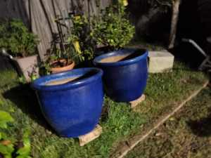 2 very large blue ceramic pots 630mm Width 500mm Highth. 