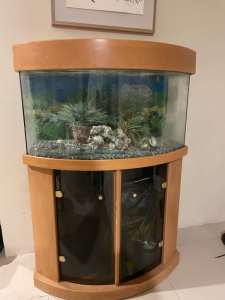 Modern Dark wood Fish tank