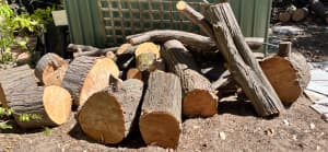 Firewood large logs-good trailer load SAMSON