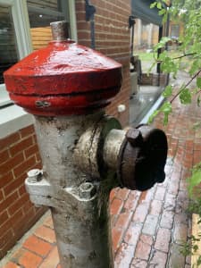 Antique fire hydrant. 