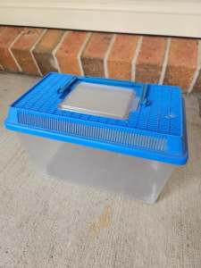 Kids first Bug catcher/Insect tank