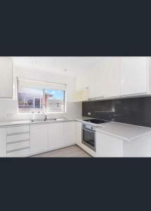 Room for rent in Dee why