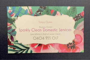 Sparkly Clean Domestic Services