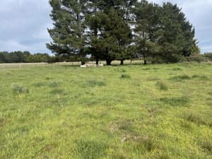 10 acres farm land for Sale in Kyneton 