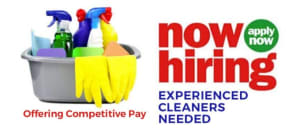 Cleaner wanted