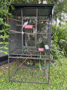 Bird cage with birds