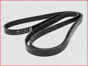 Holden Commodore VF 3.0L 2013 - 2017 6PK2555 Ribbed Drive Belt