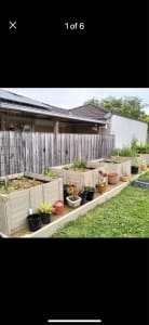 Heat treated garden beds