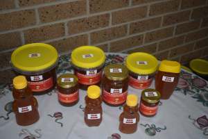 Wanted Korrumburra Stockist for Honey