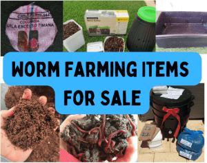 Worm Farming Items For Sale - Compost Worms, Worm Farms and More!!!