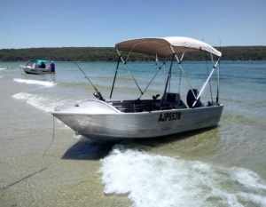 2007 Quintrex Tinny 3.8m aluminium boat