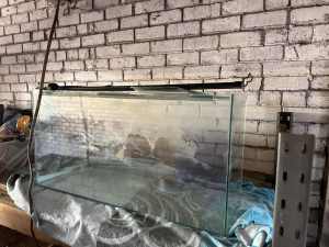 130L Glass Fish Tank (with light)