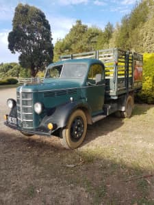 Bedford 1949 tray truck with sides