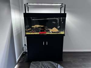 3 Foot fish tank complete set up with fish