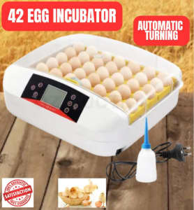 42 Egg Incubator Digital Automatic Hatching Temperature Control