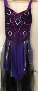 Butterfly costume ladies approx size 12 - location The Gap