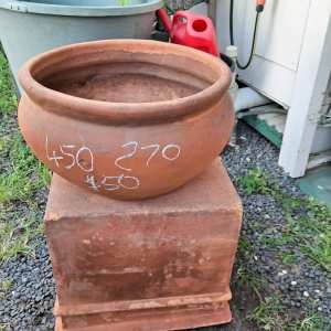 Terracotta pot $50.00