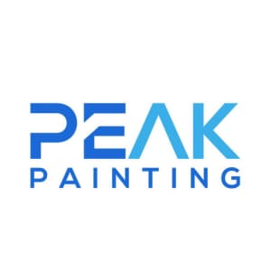 QUALIFIED PAINTER