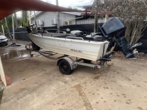4m Punt With 50hp Motor 