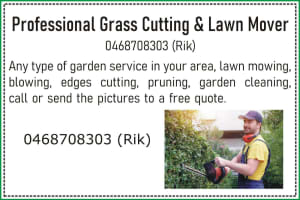 Professional GRASS CUTTING and LOWN MOVER