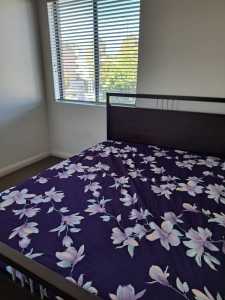 Private room with seperate bathroom available near Wentworthville stat