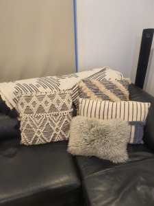 Cushions @$10 beautiful must have near new 