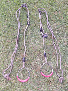 Swinging Ropes with Red Rings