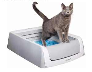 Automatic kitty litter with replacement litter trays 