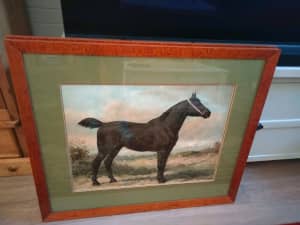 2 stunning antique horse prints in Birdseye Maple frames