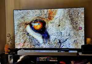 LG OLED 3D TV - 55 inches - 4K curved