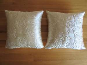 Pillows x 2
