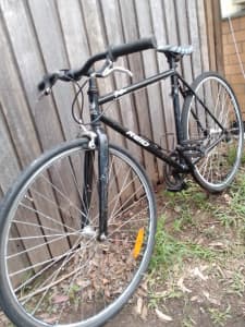 Reid Griffin Single Speed Road Bike - Extremely Low Maintenance