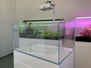 Brand new 2ft shallow aquarium fish tank