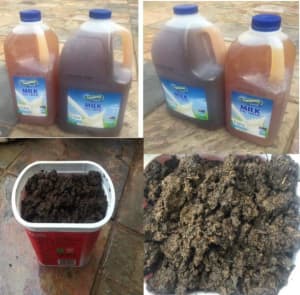worm tea & worm castings - odourless fertiliser for indoor/outdoor