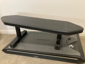 Vitruvian workout machine
