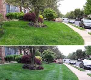 Lawn mowing/homes cleaning