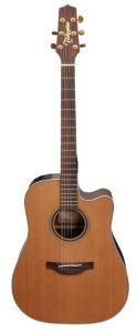 Takamine Pro Series Semi Acoustic Guitar