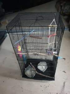 Large bird Parrot cage with all accessories. Good condition