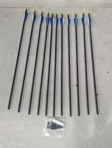 Carbon Body Arrows with Tips