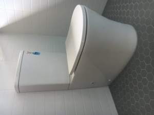 Spoleto Rimless Tornado Flushing Toilet