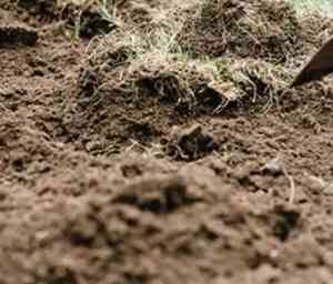 Free Soil - Kilmore and Mitchell Shire Area!! free delivery