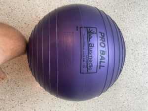 Fit Ball Pro Ball - 45cm